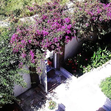 Koralli Studios Korissia  Ngoại thất bức ảnh